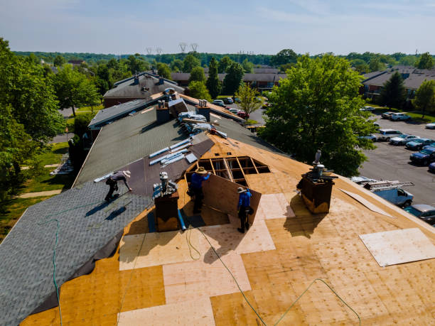 Residential Roof Replacement in Louise, TX