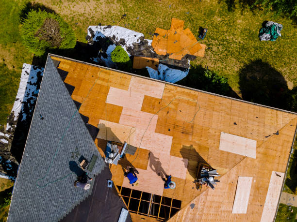 Best Residential Roof Replacement  in Louise, TX
