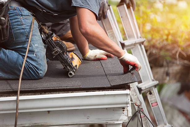Best Metal Roofing Contractor  in Louise, TX