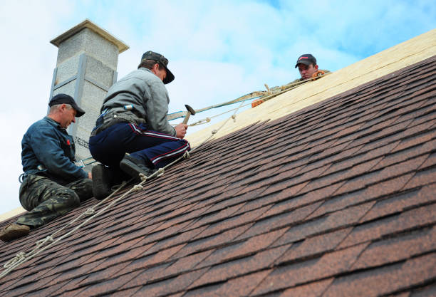 Roof Installation Near Me in Louise, TX
